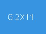 G 2X11 